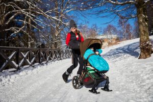 shop_property_file_25150_27715 Полозья для коляски Cybex PRIAM 29