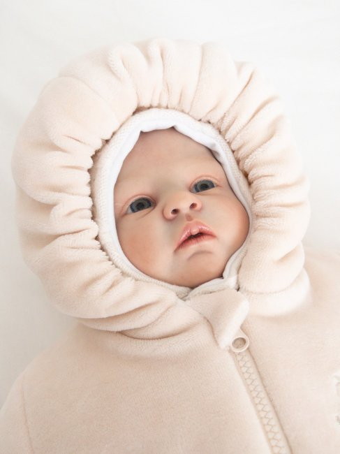 ws7v78iyjop5d7k62q07i0rzqjnhlegk Демисезонный комбинезон Lappetti размер 62 цв.пудра 1