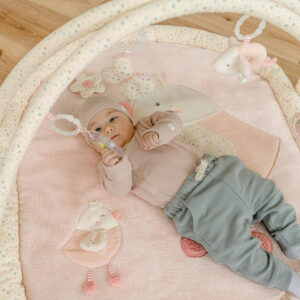 Развивающий коврик FEHN Птичка 7