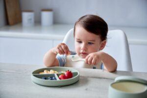 20240620_Edda_4727 Секционная тарелка на присоске Edda, Мимоза 11