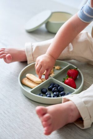 20240620_Edda_4749 Секционная тарелка на присоске Edda, Мимоза 10