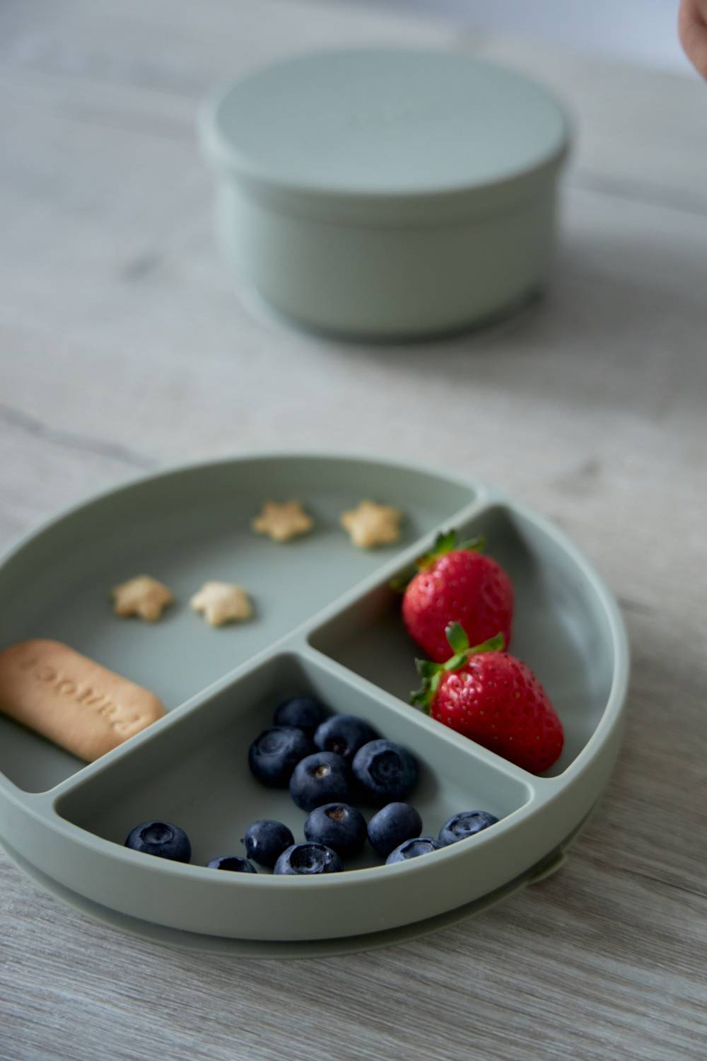 Секционная тарелка на присоске Edda, Небо 4