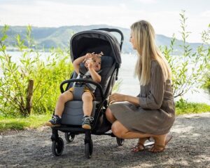 27515_8_lvm Коляска прогулочная Osann Storchenmühle Niko 19