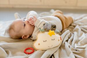 image_060133_spieluhr_wolke_mit_muetze_08_kl_insta_min Музыкальная игрушка-подвеска FEHN Облако 7