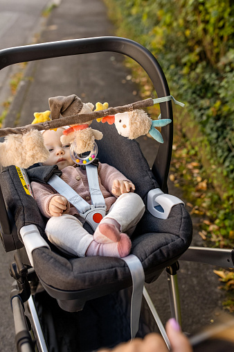 Погремушка-растяжка на коляску/кроватку FEHN Мишка Бруно 2