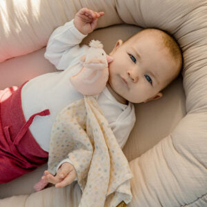 045031_43 Игрушка-комфортер из муслина FEHN Птичка 8