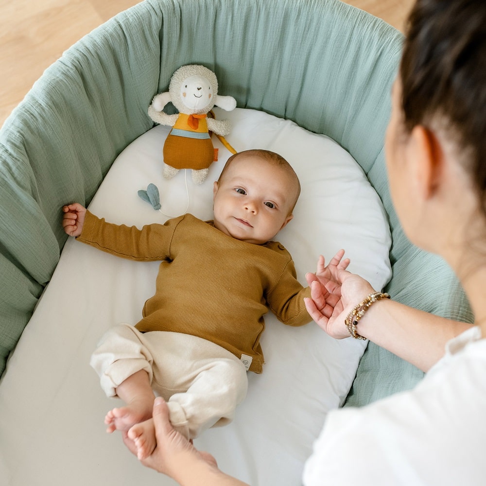 048018_43_min (1) Музыкальная игрушка-подвеска FEHN Овечка NATUR 4