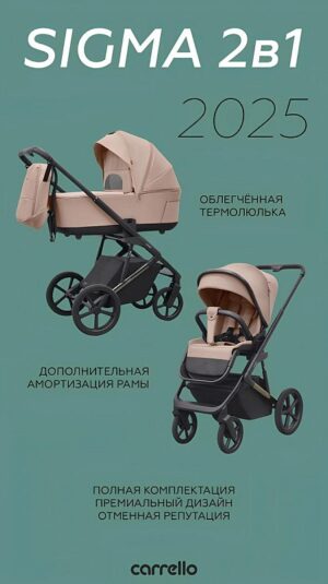 Коляска 2 в 1 Carrello Sigma 2025 8