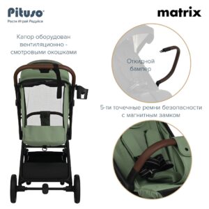 UT000082276_29 Коляска прогулочная Pituso Matrix 42