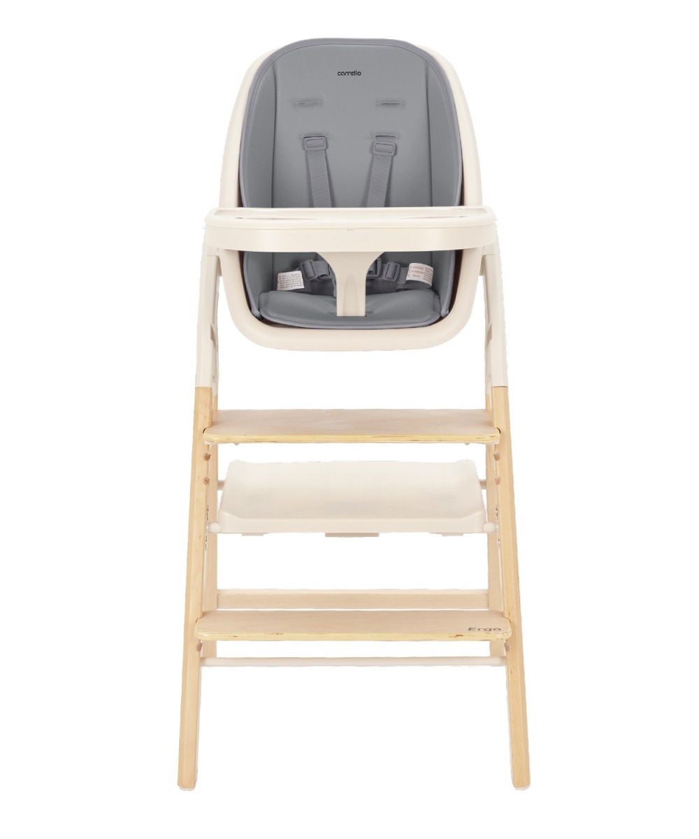 29152_jUuZ Стульчик для кормления Carrello Ergo 5