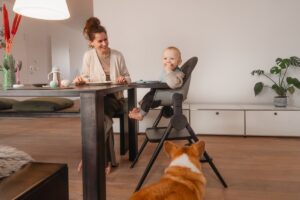 29375_Cq36 Стул-трансформер для кормления ANEX OZY 69