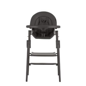 29375_UTOs Стул-трансформер для кормления ANEX OZY 56
