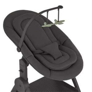 29375_x8bK Стул-трансформер для кормления ANEX OZY 61