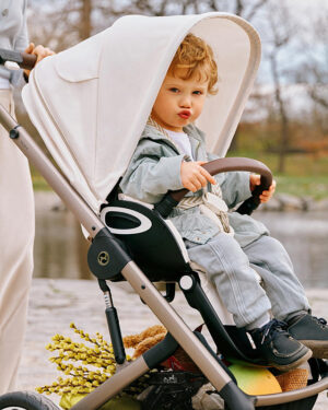 q9dif75r3prbijprg7wfs05y3obx9cgu Коляска прогулочная Cybex Talos S Lux SLV с дождевиком 25