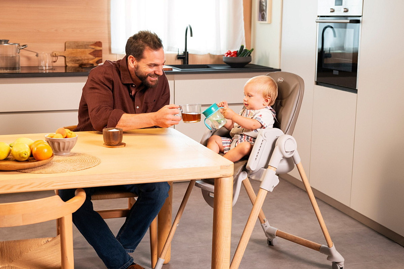 Стульчик для кормления Chicco POLLY ARMONIA 18