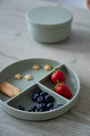 Секционная тарелка на присоске Edda, Пудра 11