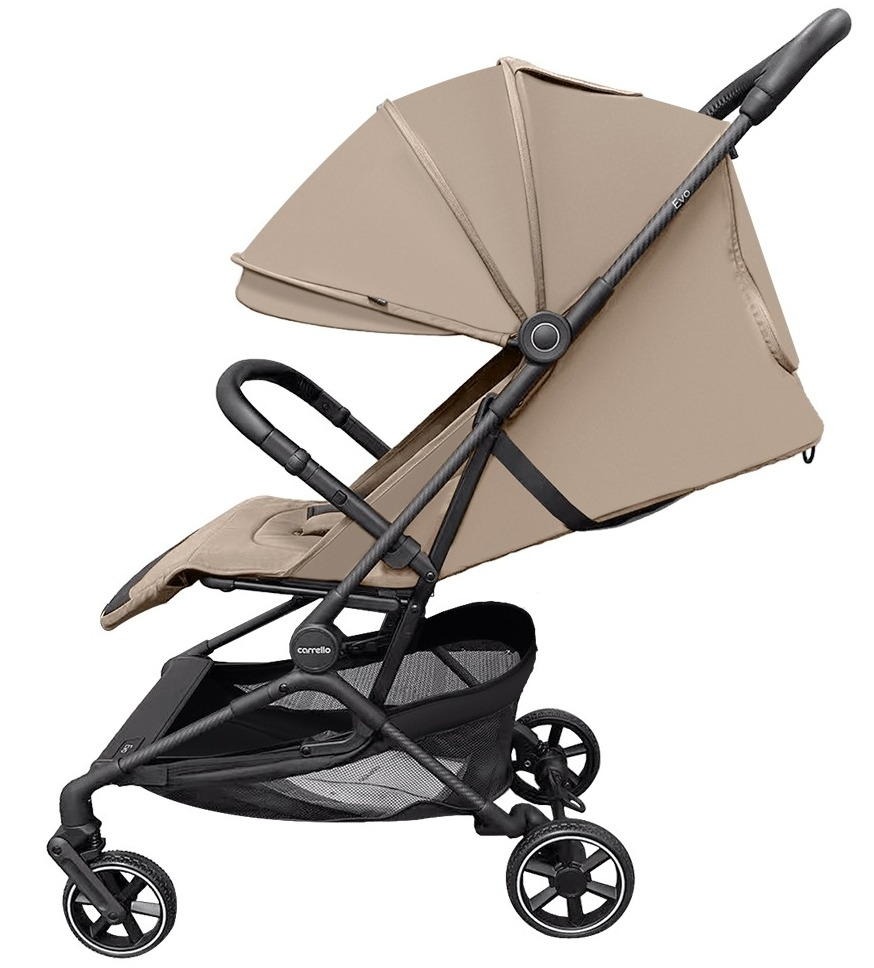Коляска прогулочная Carrello Evo CRL- 5533 1 коляска прогулочная