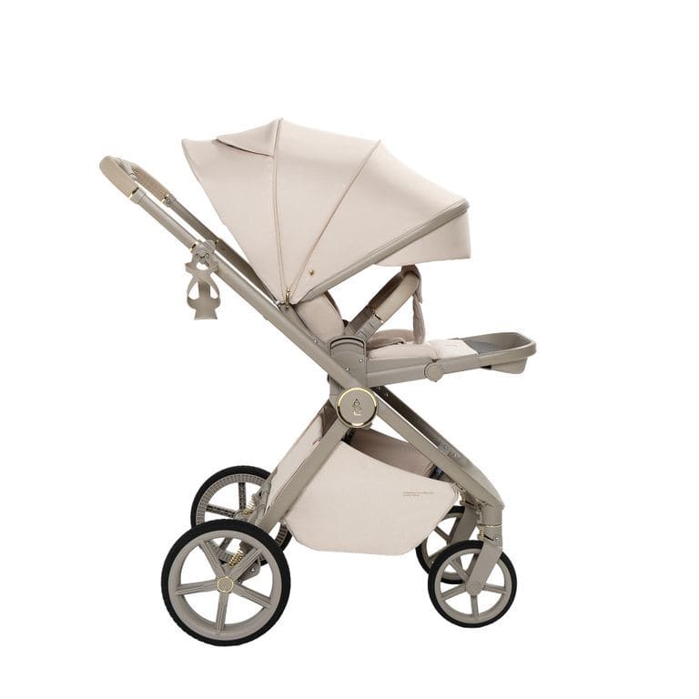 Коляска 2в1 SBL Elegante LT