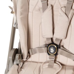 Коляска 2в1 SBL Elegante LT