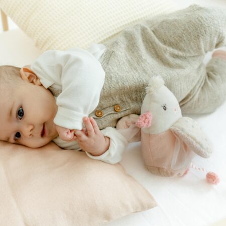 игрушка грелка виноградными косточками птичка