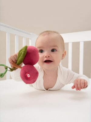 вишня шуршалка