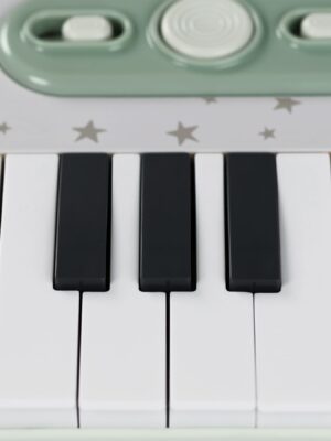 Набор музыкальных инструментов Happy Baby PIANO STAR «ПЬЯНО СТАР»