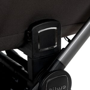 Коляска 2 в 1 Pituso Teffy