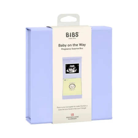 Подарочный набор пустышка латексная BIBS Colour «Baby on the Way», 0+ мес.