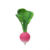 RAMONA THE RADISH